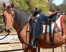 Form Fitter Horse Saddle