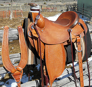 Modified Association Horse Saddles